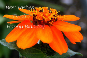 kkphoto1 › Portfolio › Best Wishes For A Happy Birthday