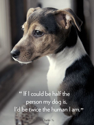 16 Dog Quotes That Will Melt Your Heart