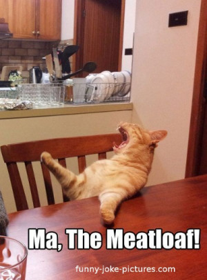Funny Ma The Meatloaf Cat Meme Joke Picture Photo