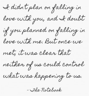 love it i didn t plan on falling in love with you