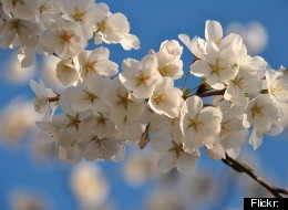 ... birdies is? //Spring Equinox: Quotes To Mark The First Day Of Spring