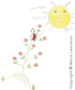 Ladybug Poems and Ladybug Poetry