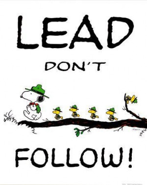 lead, don't follow!