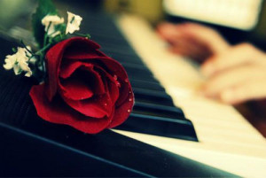 piano_and_rose_by_iheartblueconverse-d565iva.jpg