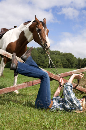 ... problems many riders have is slowing down a horse that is a puller or