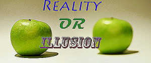 Reality Illusion Violence Video Games