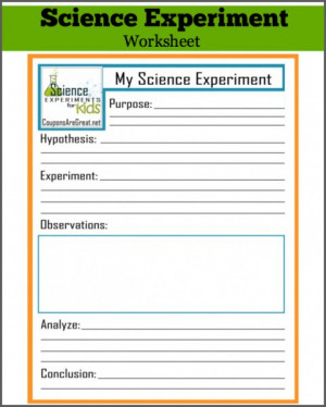 Scientific Method Conclusion Science experiment worksheet