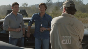 Supernatural Yellow Fever