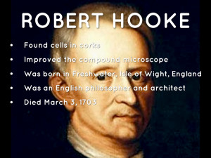 Robert Hooke Cell Theory