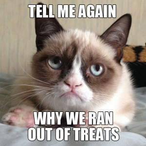 Angry Cat Quotes 5 funny 