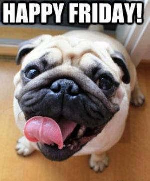 Happy Friday Funny Pictures
