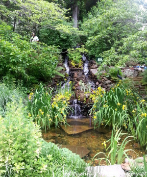 Waterfall-and-Pond-for-the-Backyard-Garden.jpg