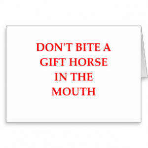 gift horse greeting card