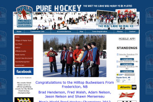 Your sports website professionally designed.