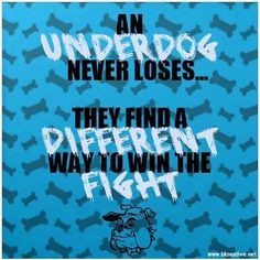 The underdog never gives up! #motivation #quote More