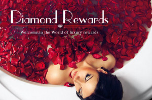 Instant Quote Click Here