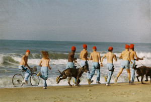 scene from Wes Anderson’s The Life Aquatic starring Bill Murray ...