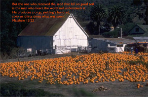 ... forth, some an hundredfold, some sixty, some thirty.