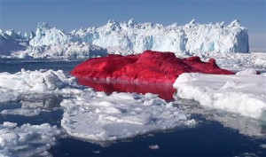 Red iceberg causes a stir in Greenland