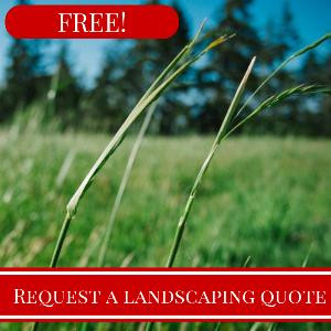 Lawn Mowing Auckland FREE Quotes From $10!