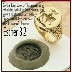 ... and Esther appointed Mordecai over the house of Haman. Esther 8:2 More