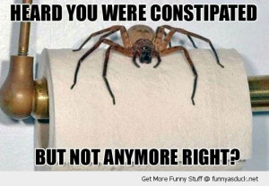 constipated spider toilet roll insect funny pics pictures pic picture ...