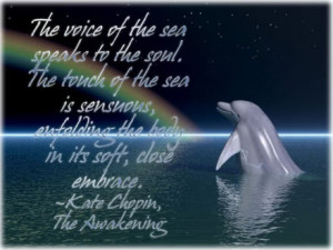 Dolphin quote Image