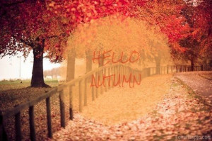 Hello Autumn quotes trees autumn leaves