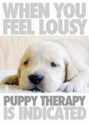 Puppy Therapy. We have this at my work and its great. Lol