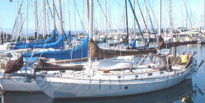 Thread: unconventional layout