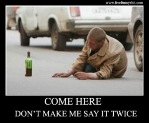 showcasing funny cats cute and bizarre cat pictures and videos from a ...