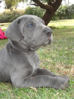 Funny Quotes Contact Dmca...