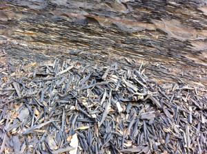 Later came across this unusual shale rock slag. To me, it kind of ...