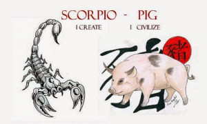 The Scorpio Pig Personality Traits : Western and Chinese Zodiac ...