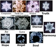 dr masaru emoto the effect of words on water crystals more water ...