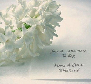 Already have an account? Log in now