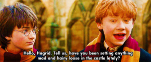 Hermione: Look, Hagrid’s our friend, why don’t we just go and ask ...