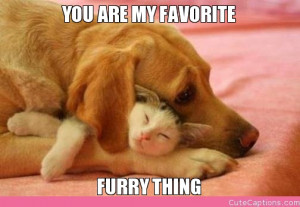 YOU ARE MY FAVORITE, FURRY THING