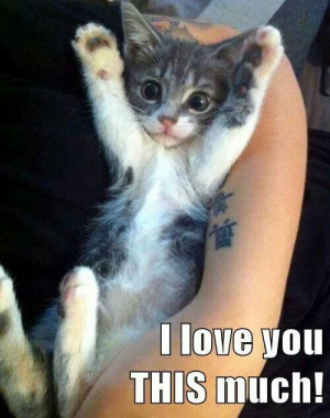Kitty, I love you this much