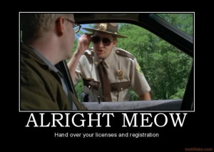 super troopers meow game meme Imgur