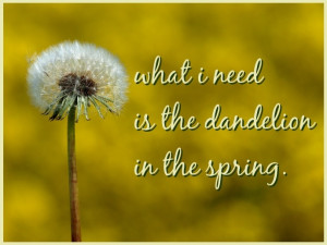 what i need is the dandelion in the spring. Katniss quote from ...