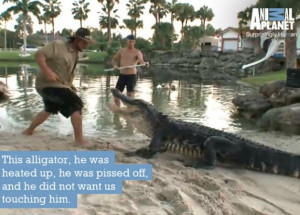 Gator Boys Quotes and Pictures