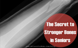 The Secret to Stronger Bones in Seniors