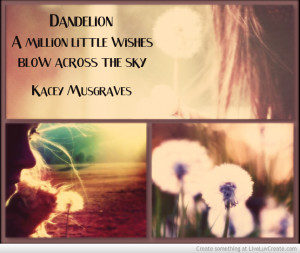 Dandelion Kacey Musgraves