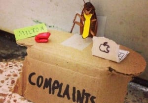 funny-pictures-humor-complaints-department-cockroach