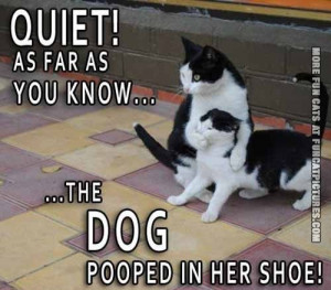 The dog pooped in her shoes