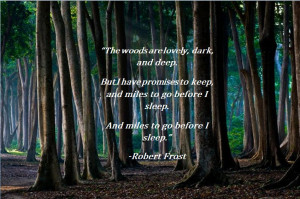 The woods are lovely…