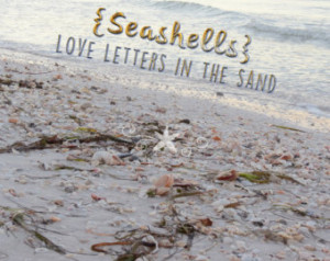 ... -life quote-inspirational quote-seascape-seashells-beach quote #2779