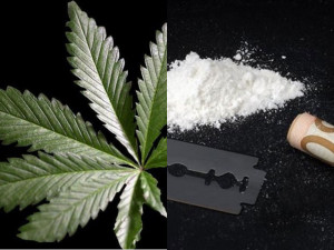 Police on Wednesday seized $750,000 worth of cocaine and marijuana ...
