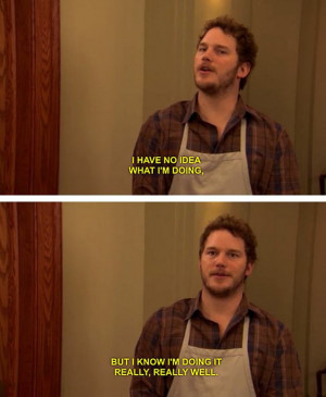 Andy Dwyer Was the Best Character on TV